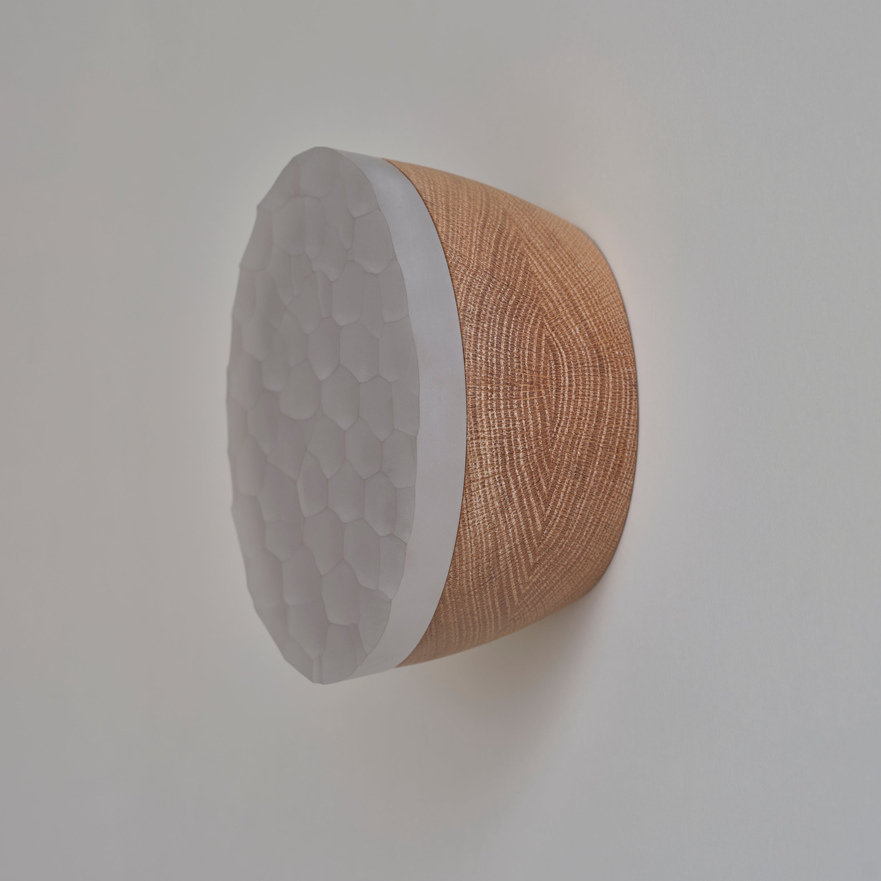 Berm Acrylic Sconce