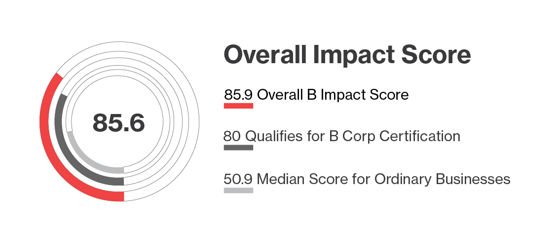 hollis morris bcorp score