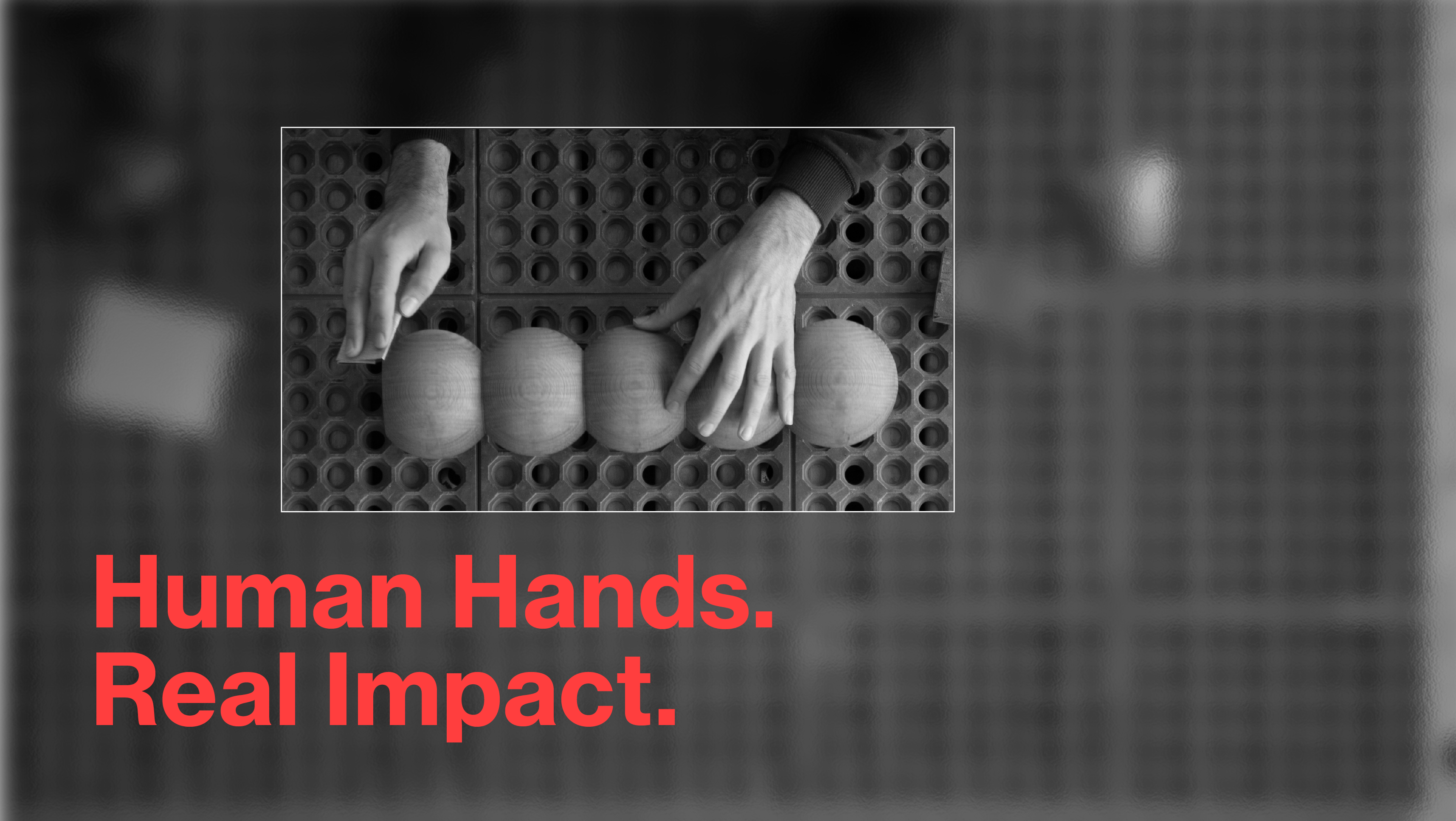 hollis morris human hands real impact