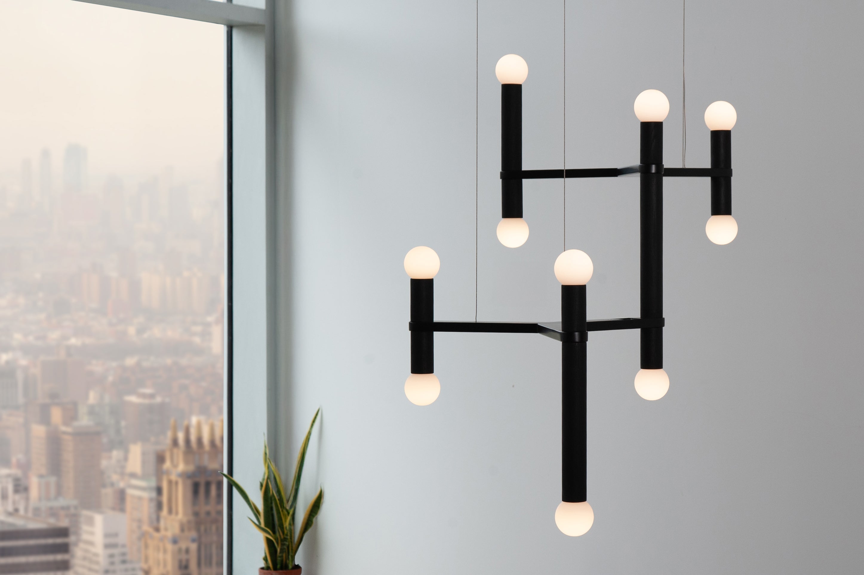 hollis morris molecule w.oak black 2y city