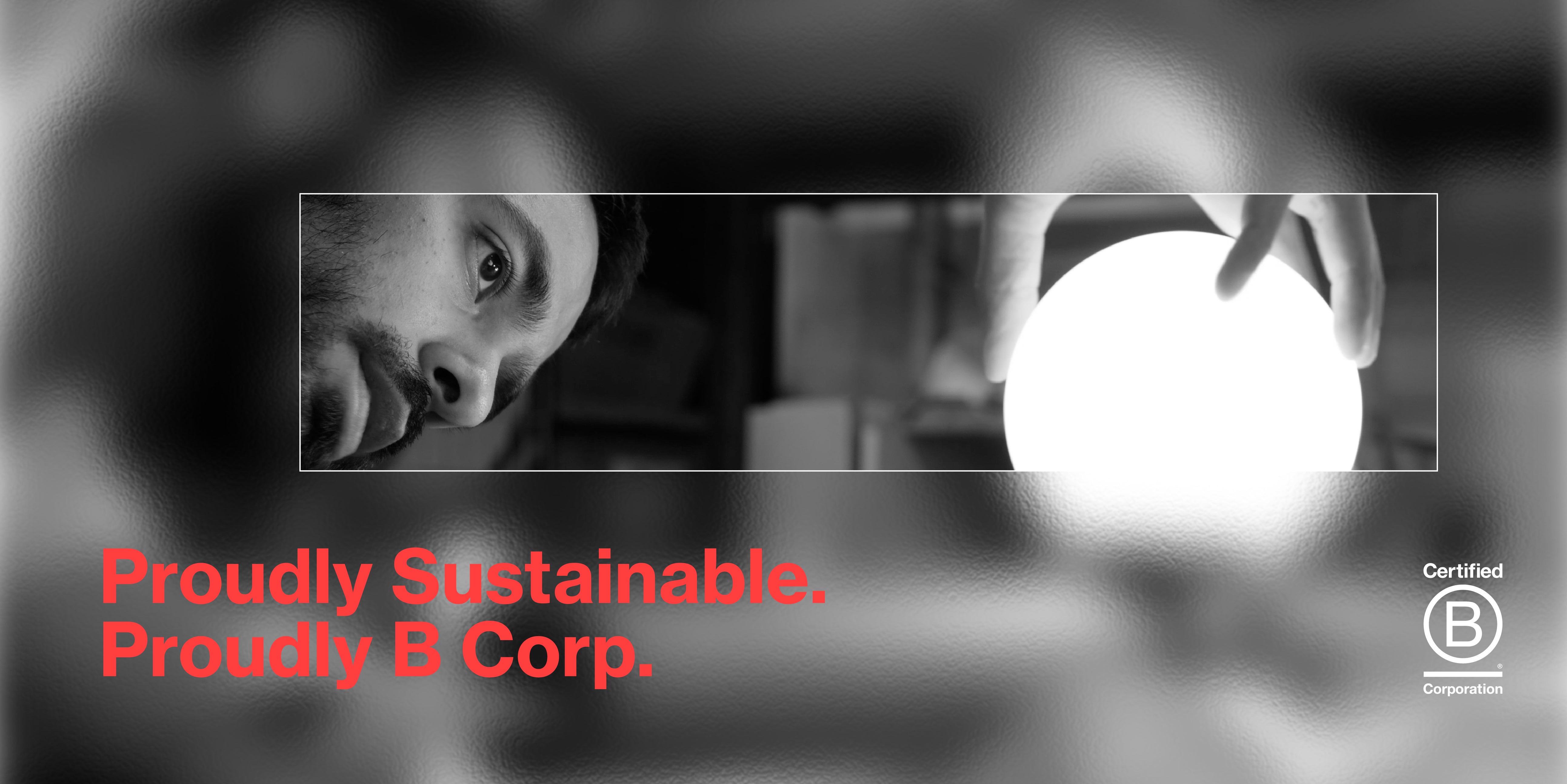 hollis morris bcorp banner